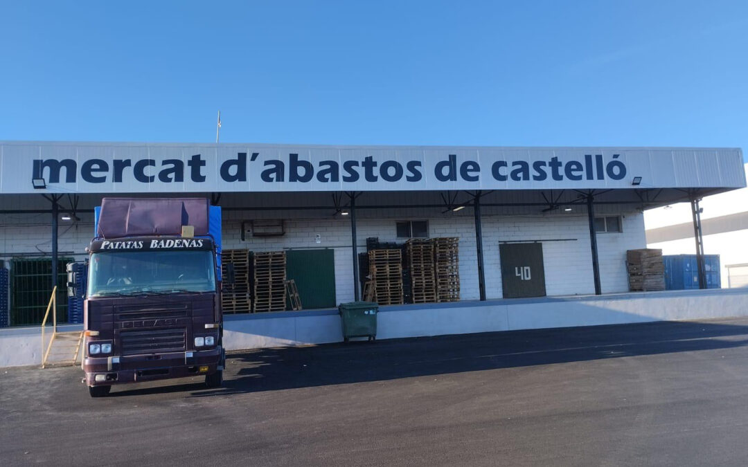 ROTULACIÓN MERCAT D´ABASTOS – CASTELLÓN